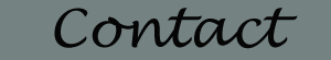 contact logo