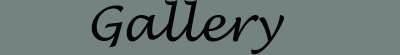 gallerylogo